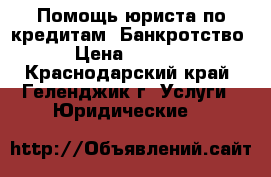 Помощь юриста по кредитам. Банкротство › Цена ­ 2 500 - Краснодарский край, Геленджик г. Услуги » Юридические   